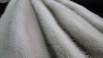 Норка Жемчуг