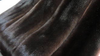 Норка Махагон